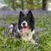 Hannah Bedford - Facebook