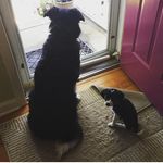 Hannah And Beesley - @hannahandbeesley4eva - Instagram