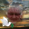 Hannah Bergmann85 - @hannahbergmann2 - TikTok