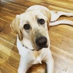 Hannah Berreau - @berreauh - Instagram