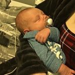 Hannah Bertram - @hannahbertram5640 - Instagram