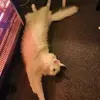 hannahbirk8 - @hannahbirk8 - TikTok