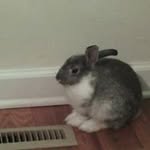 Hannah Blattert - @hannahblattert - Instagram