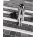 Hannah Blum - Facebook