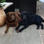 Hannah Callaway - @hannah.boardman.37 - Instagram