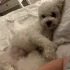 hannahsprivate1 - @hannahbogle11 - TikTok