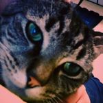 Hannah Bone - @bonehannah - Instagram