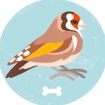 Hannah Bone Illustration - Facebook