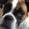 Ella Elizabeth - @hannah.boon - TikTok