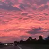 Hannah Borders - @hann.borders - TikTok