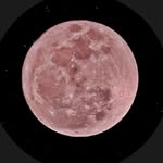 Hannah Bouchard - @rainbowcupcakes0303 - Instagram