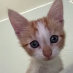 hannahh♡☻︎ - @hannah_.bryson - Instagram