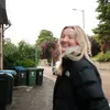 han - @hhannahbuchanan - TikTok