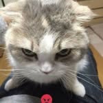 Hannah Bui - @kuroyamisartist - Instagram