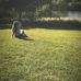 Hannah Burrows - Facebook