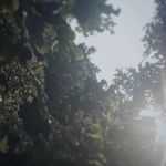 hannah calhoun - @cu_tepics812 - Instagram