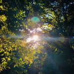 Hannah Callaway - @h_callaway597 - Instagram