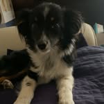 Hannah Callaway - @hcall_ado2024 - Instagram