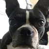 Hannah - @hannah_callaway - TikTok