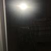 Hannah Carrierr - @hannah.carrierr - TikTok