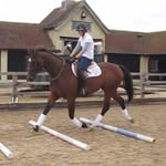 Hannah Cater-Williams - @jumping.harry - Instagram