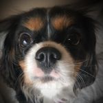 Hannah Cavalier - @hannahbannaaz - Instagram
