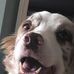 Hannah Chaisson - Facebook