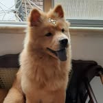 Hannah - @hanna.hchow - Instagram