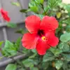 Hannah Clack761 - @hannahclack - TikTok
