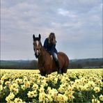 Hannah Clancy - Facebook