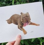 Hannah Clancy Art - Facebook