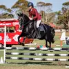 HC showjumping - @hannahconlon03 - TikTok