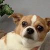 hannahconnelly1123 - @hannahconnellyspammm - TikTok