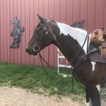 Hannah Conrad - @hannahconrad.author - Instagram