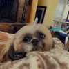 Hannah Cool - @myfabulousmessy - TikTok