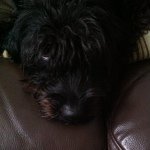 Hannah-cool-funny - @loulou_hannah_8 - Instagram