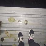 @hannahcoons2 - Instagram
