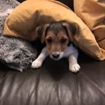 Hannah Corner - @hannahcorner84 - Instagram