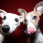 Hannah Crouch - @corporal_hicks_and_newt - Instagram