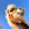 hannah - @hannahcrouchman - TikTok