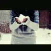 Hannahthatsme14 - @hannahcushing - TikTok
