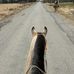 Hannah Dagg Chenier - Facebook