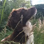 Hannah Davey - @hd_portraits1 - Instagram