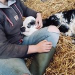 Hannah Davey - @hdavey.quad36 - Instagram