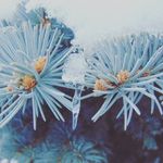 Hannah Decker - @camera_crazy17 - Instagram