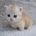 Hannah DeLong - @best_friends_with_ava_birt - Instagram