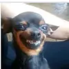 Hannah Diaz - @hannahdiaz4 - TikTok