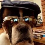 Hannah Dowling - @spanner79 - Instagram