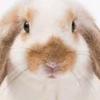 Hannah Drury - @hannah.drury6 - TikTok