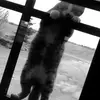 hannahechers - @hannahechers - TikTok